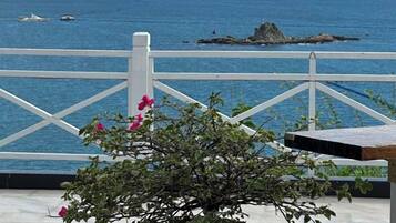 Una planta en maceta con flores rosas frente a una cerca blanca con vista al mar.