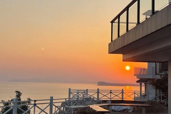 Garden - Yougan Xiaozhu Seaview Hostel (Shenzhen)