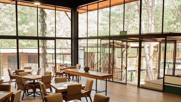 Restaurant - Grand Mazamitla Hotel  (Mazamitla)
