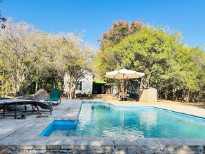 A swimming pool with a patio area, a white building, and trees in the background.