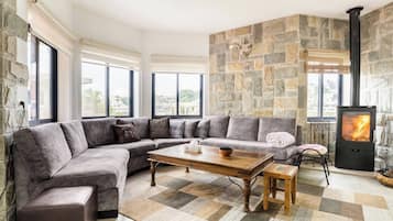 Smart TV, fireplace, books
