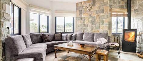 Smart TV, fireplace, books