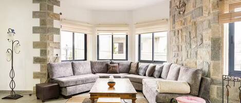 Smart TV, fireplace, books