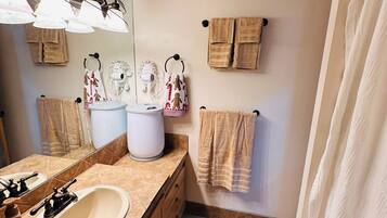 A bathroom with a sink, mirror, towel racks, and a shower curtain.