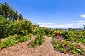 Property grounds - Baxter's Bayview Guest House Near Cal Poly (Arcata)