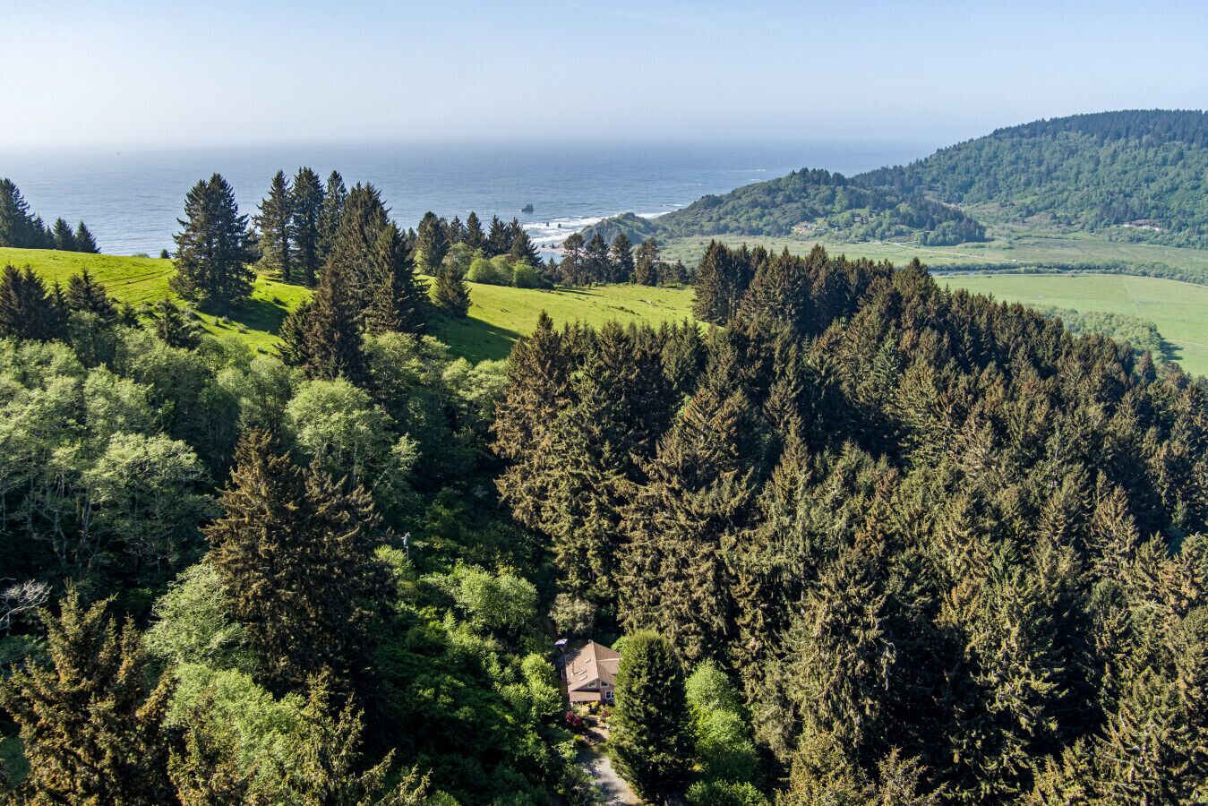Un paysage boisé avec une petite maison entourée d’arbres denses.