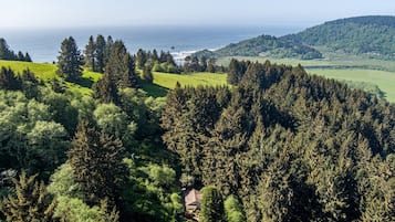 Un paysage boisé avec une petite maison entourée d’arbres denses.