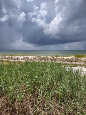 Sun-loungers, beach towels -  Port Saint Joe 1/1 Trailer that sleeps 4, only 2 blocks to Beach -Pet friendly! (Port St. Joe)