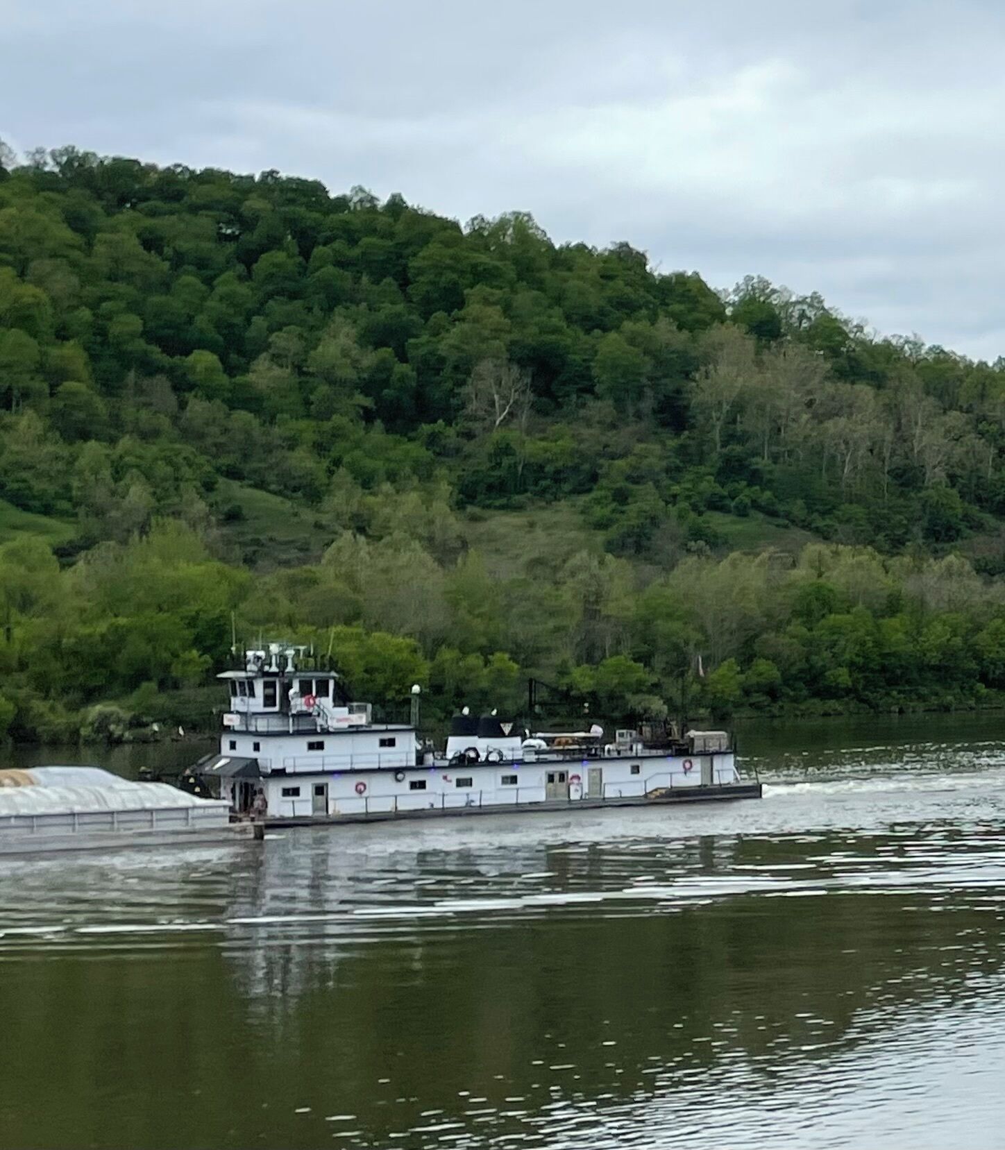 Diverse