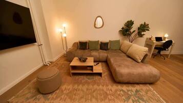 Fernseher, Arbeitsbereiche