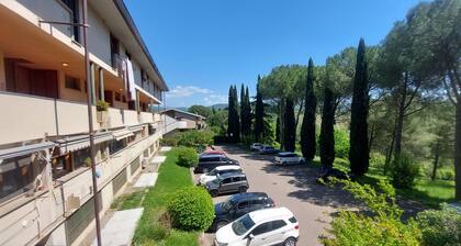 Santa Cristina cozy apartment with terrace in Chianti