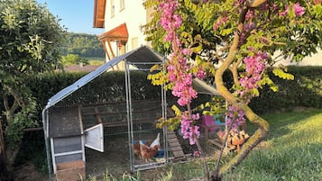 Jardines del alojamiento