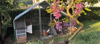 Cozy vacation apartment with sun terrace