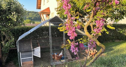 Gemütliche Ferienwohnung mit Sonnenterrasse