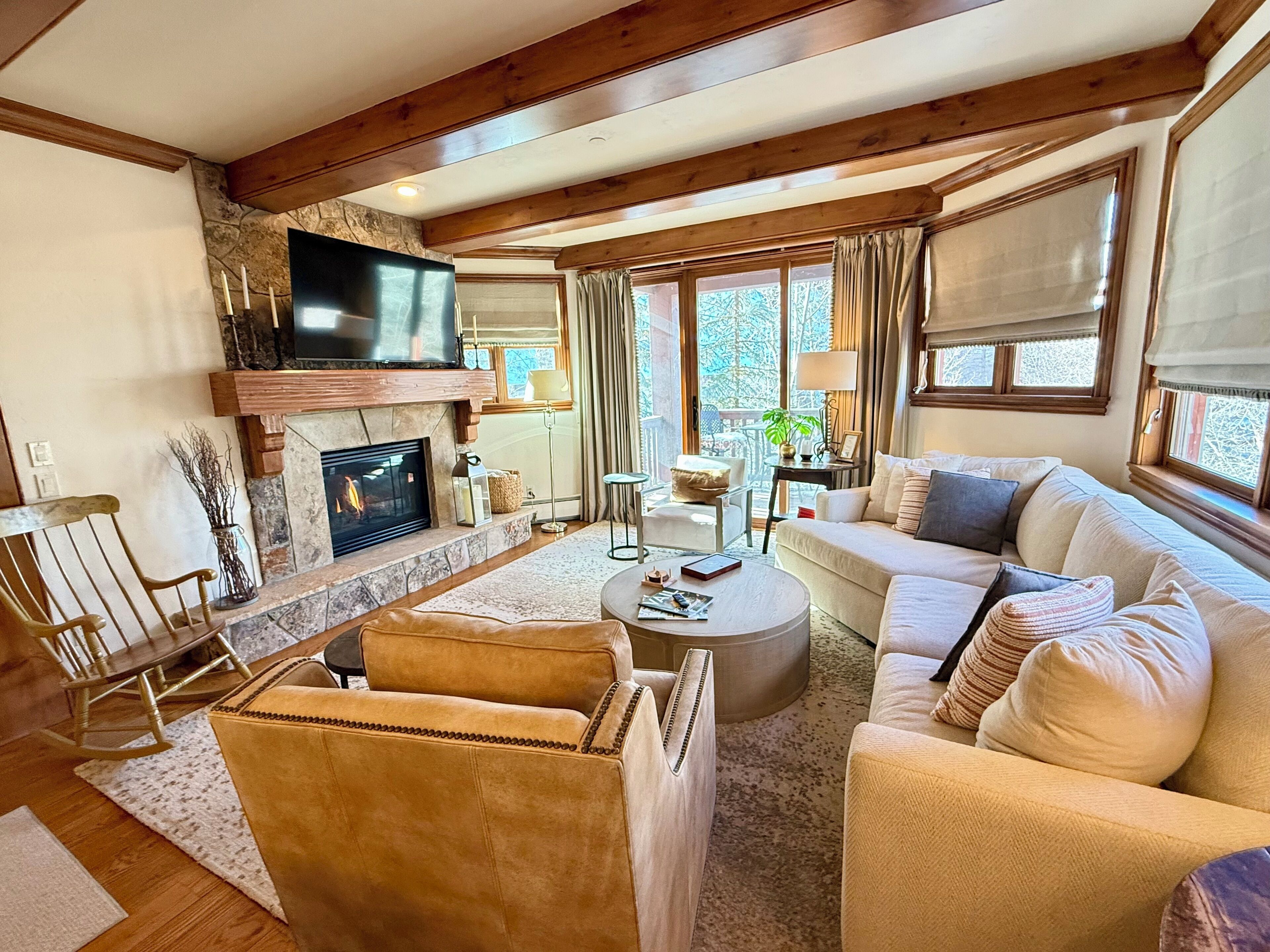 智能電視、壁爐、書籍、音響