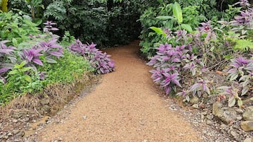 Caminatas