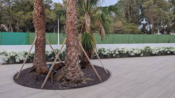 Terrein van de accommodatie