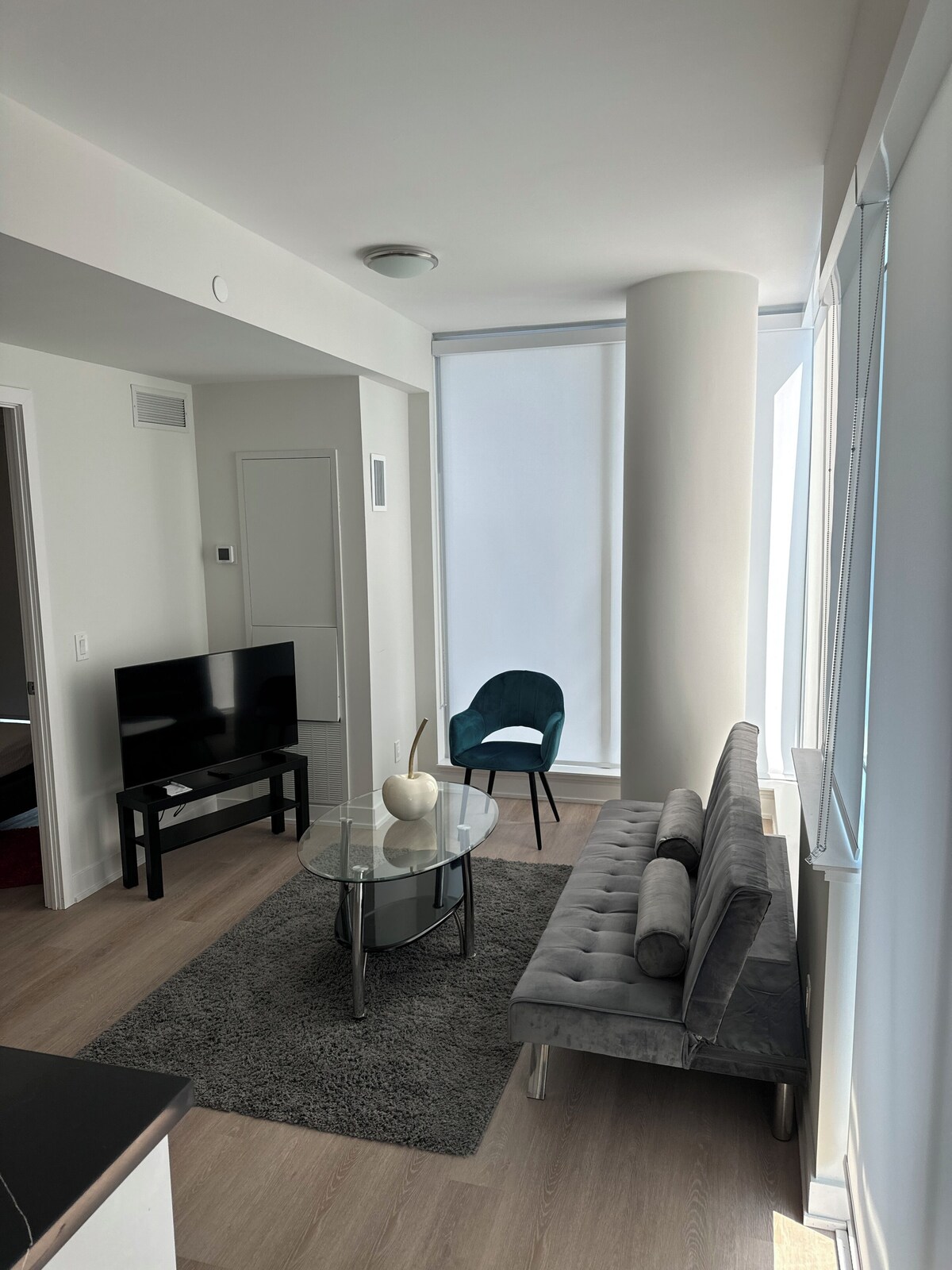 One bedroom fully furnished Condo apartment - Northyork