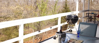 Charming 3-bedroom house with WiFi, AC in delightful Yellville