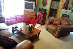 Smart TV, lareira, livros