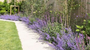 A garden pathway with purple flowers and a wooden fence. - Luxury 6 Bedroom Period Home with Sauna and Gym (Gloucestershire)