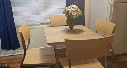 Charming 2-bedroom apartment with WiFi, AC in wonderful Washington