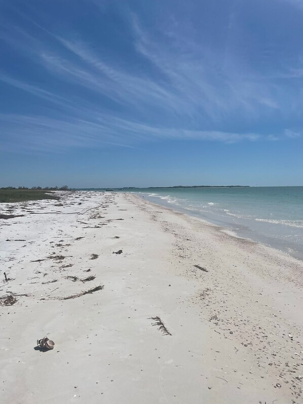 Nära stranden