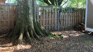 Un espacio al aire libre cubierto con un gran árbol, una valla de madera y un camino de hormigón.