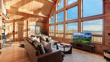 TV, fireplace, video games