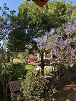 Vista desde la habitación