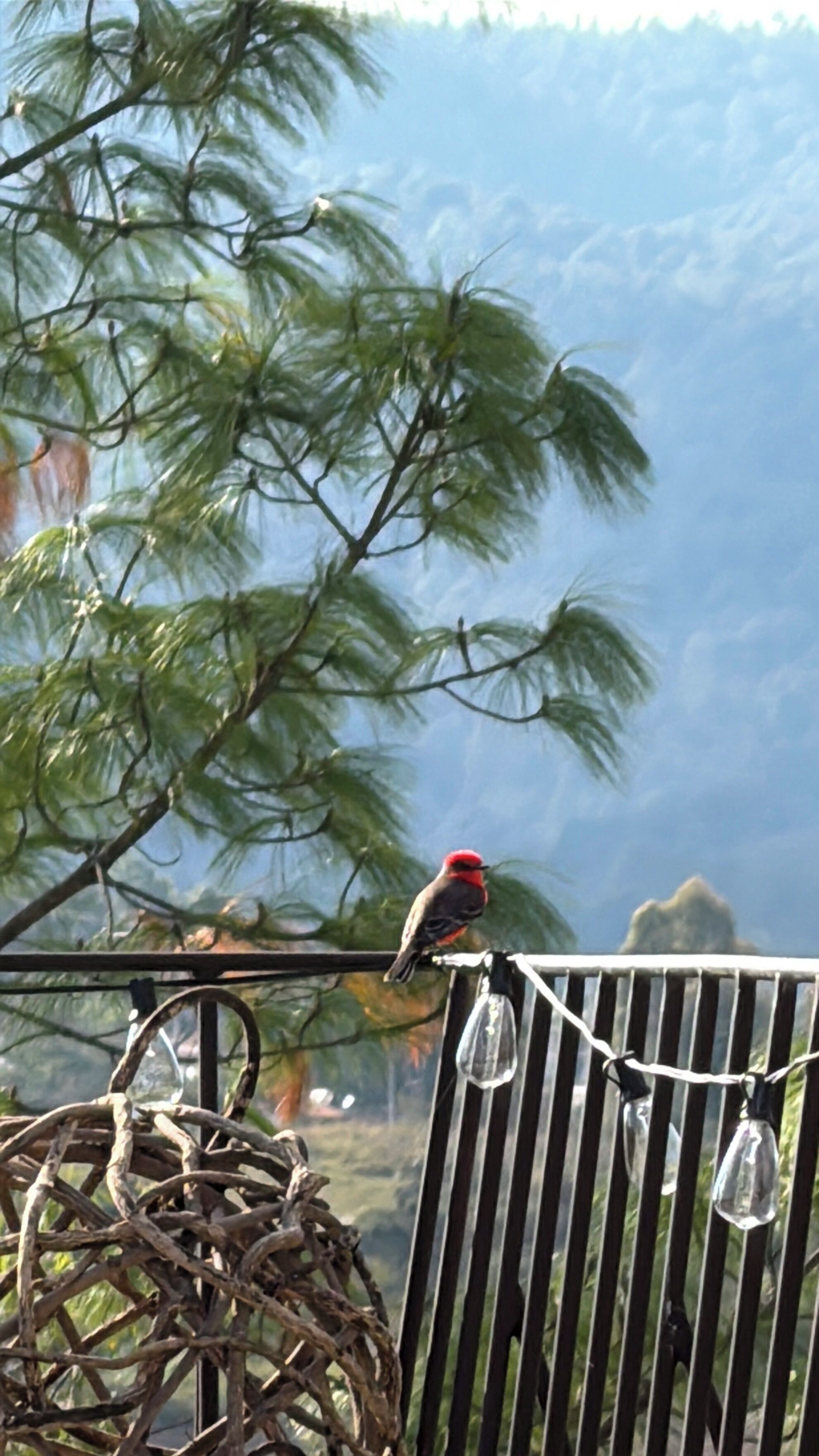 Un ave posada en una barandilla de metal, con un paisaje montañoso al fondo.