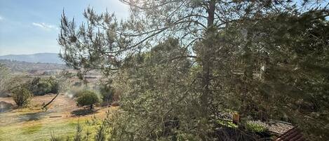 A view from a balcony overlooking a grassy area with trees and a distant landscape.