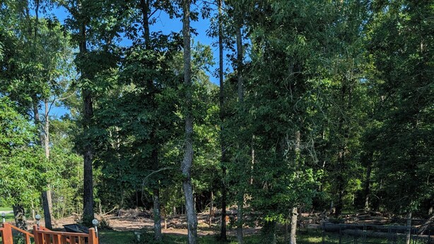 Een helderblauw zwembad omringd door een houten terras en bomen.