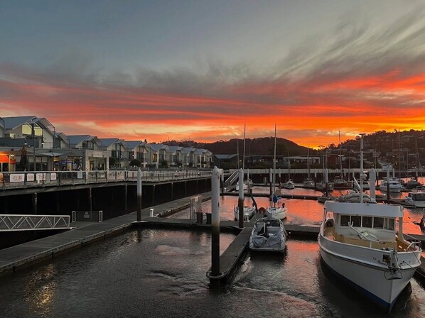 A marina with boats docked, a bridge, and buildings in the background.