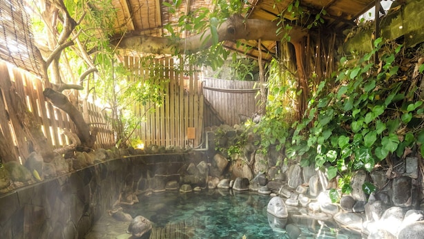 Un área de aguas termales con una piscina revestida de piedra, cerca de setos de madera y abundante vegetación.