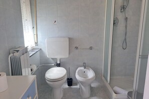 Shower, hair dryer, bidet, towels