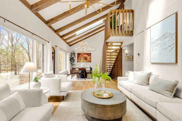 Télévision, cheminée, jeux vidéo, espaces bureaux