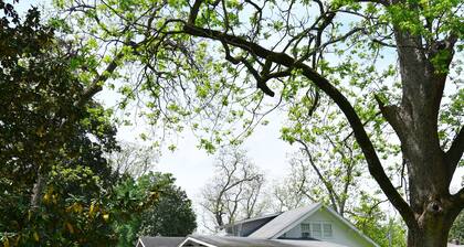 Spacious 4-bedroom house with WiFi and lake views in historic Lake Providence