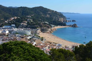 Playa en los alrededores 