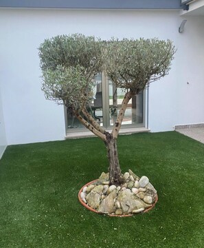 Details aan de buitenkant