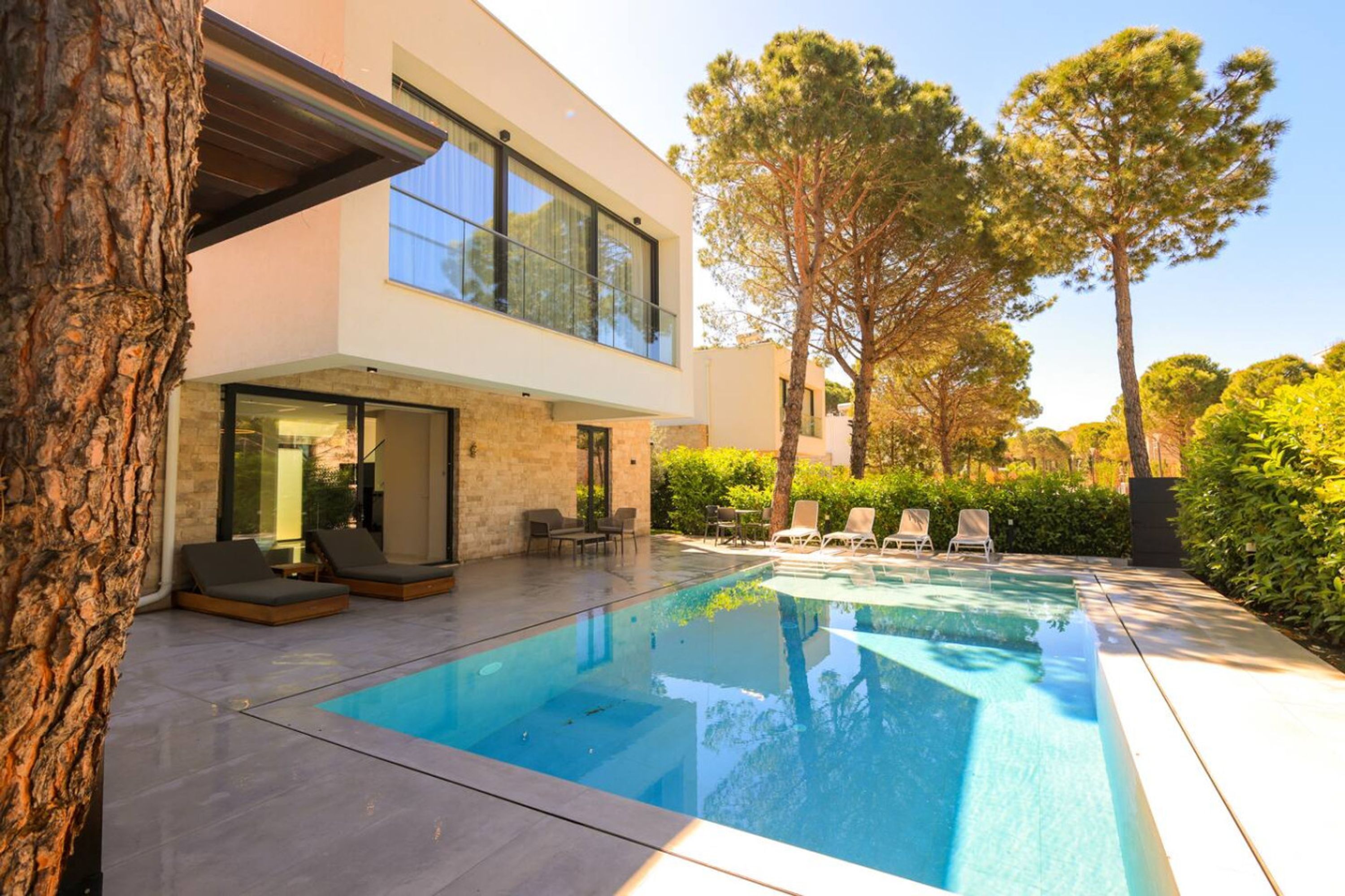 A modern house with a swimming pool, outdoor seating, and trees.
