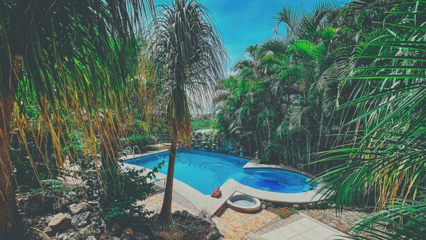 A swimming pool surrounded by lush greenery and stone pathways. - Casa Bonita in Santa Fe (Xochitepec)