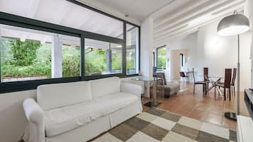 Fernseher, Kamin