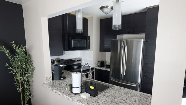 A modern kitchen with dark cabinets, stainless steel appliances, a granite countertop, and a potted plant. - North Hills/Gym/Sauna/Massage Chair/Pool (Raleigh)
