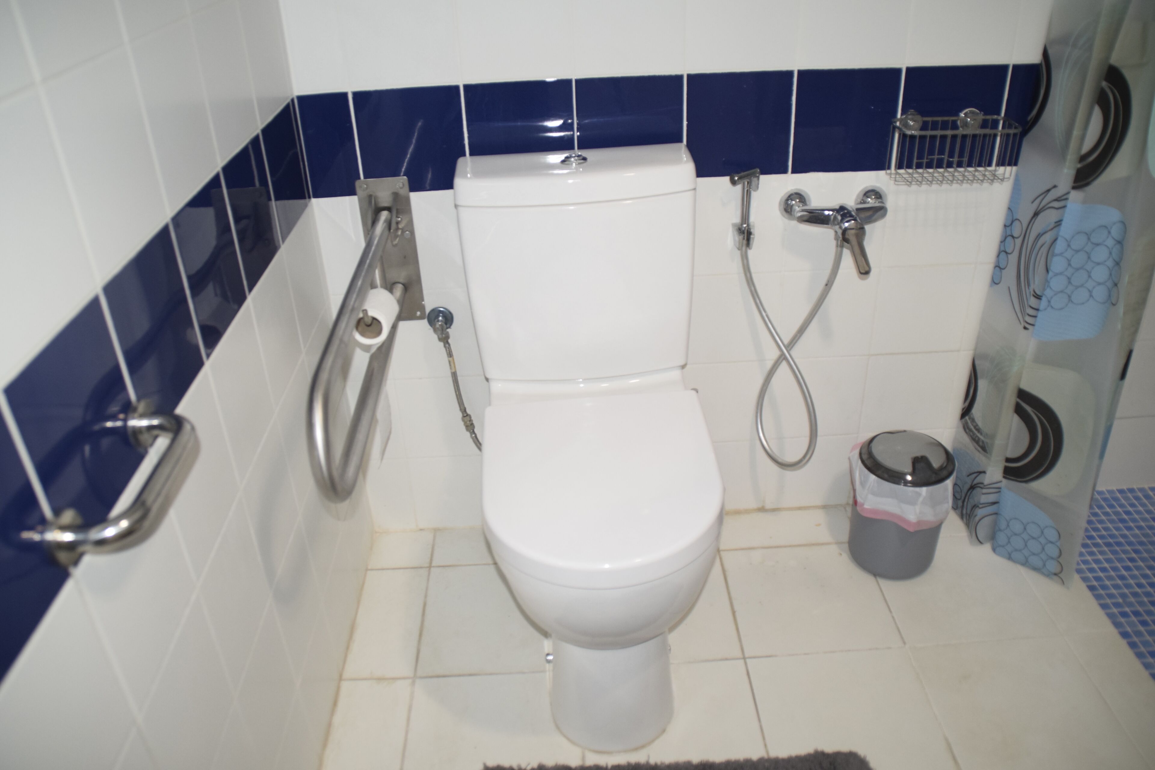 A bathroom with a white toilet, a handrail, a shower, and a trash bin.