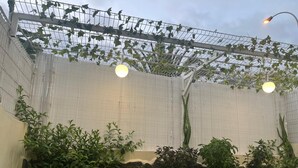 A greenhouse with plants, a wire mesh ceiling, and a street lamp.