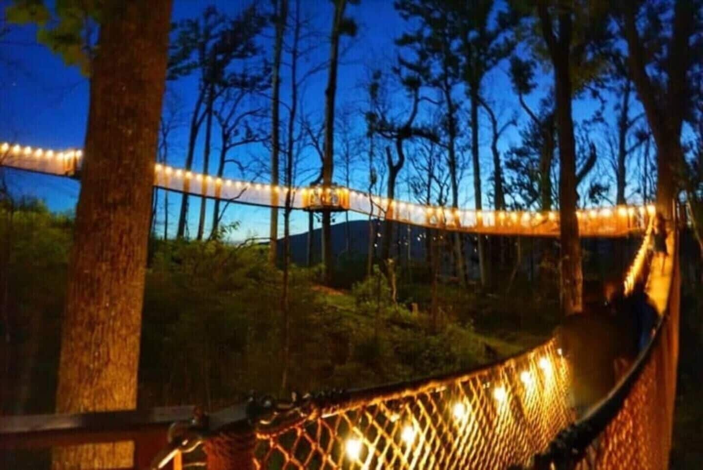 A hammock strung between trees in a forested area with string lights.