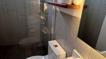 Shower, towels, soap, toilet paper