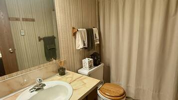 Regadera, secadora de cabello, toallas, jabón