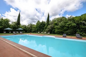 A swimming pool with lounge chairs and umbrellas, surrounded by trees and a clear sky. - Apartment 'Rosaspina - 7' with Shared Pool, Shared Terrace and Air Conditioning (Capalbio)